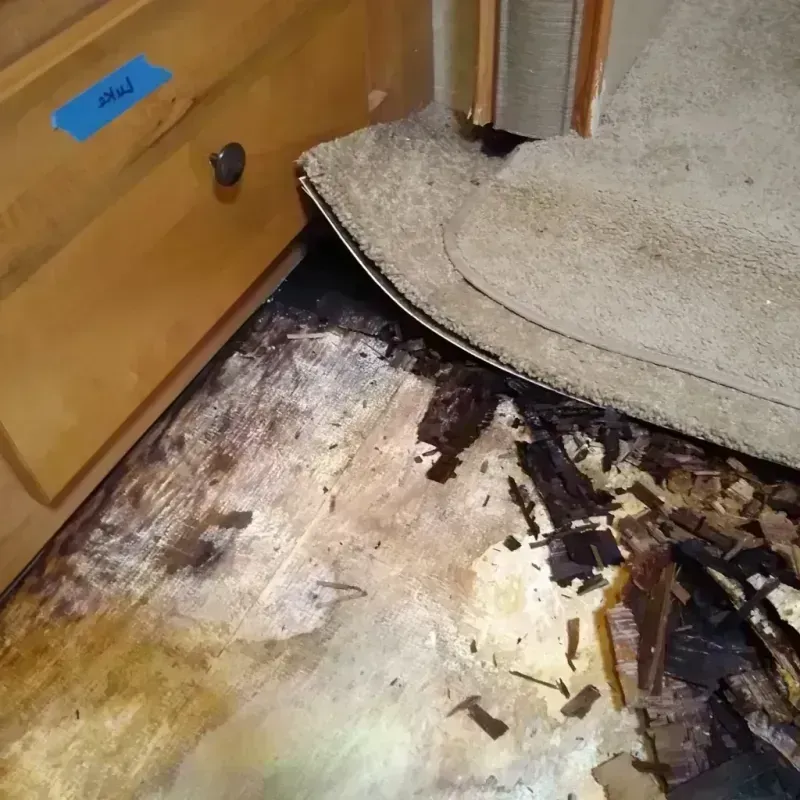 Wood Floor Water Damage in Comstock Northwest, MI